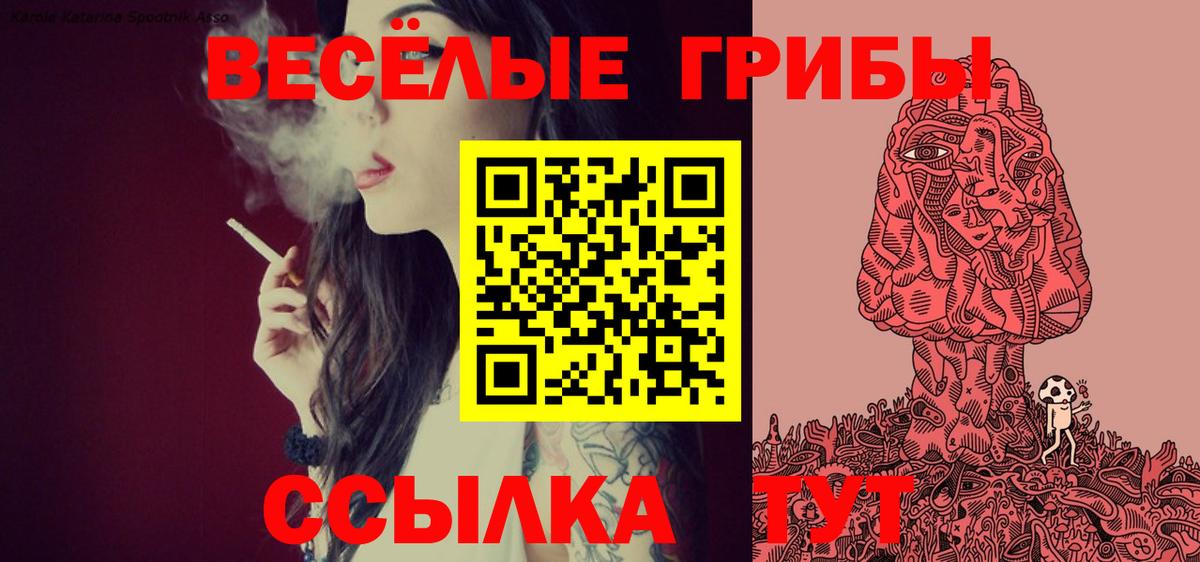 Фрязино  ГАШИШ  Вход с VPN  Бошки Шишки  Alpha PVP СК кристаллы  МЕФ кристаллы  ГАШ 