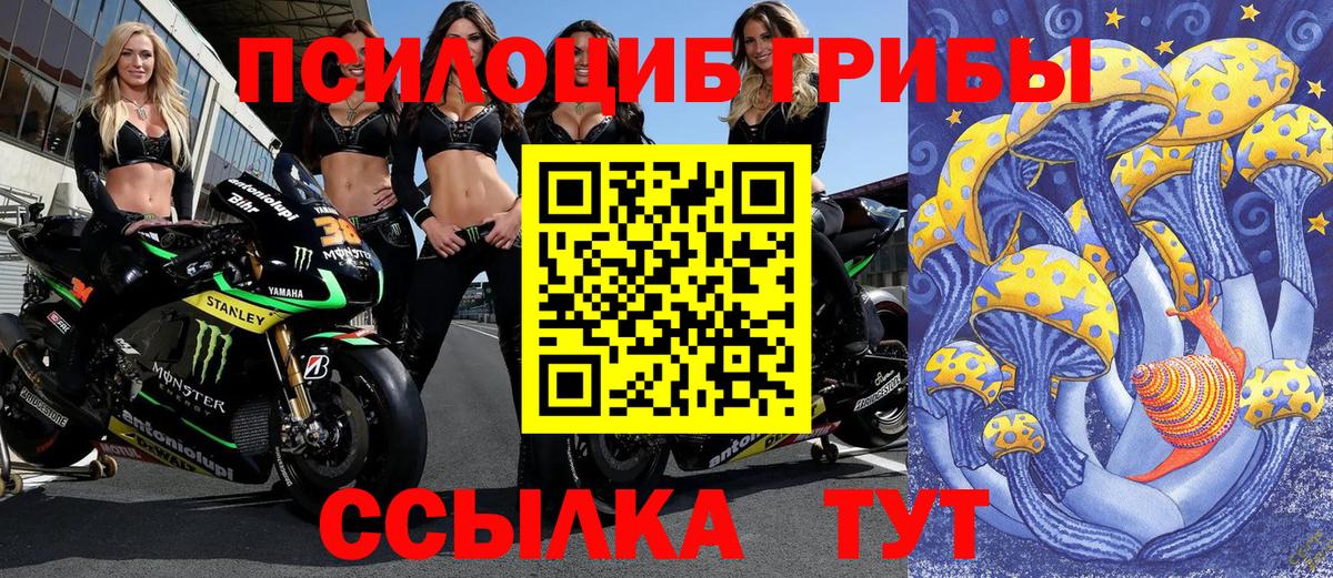 Галлюциногенные грибы Magic Shrooms  хочу наркоту  Фрязино  Вход с VPN  Галлюциногенные грибы мухоморы 