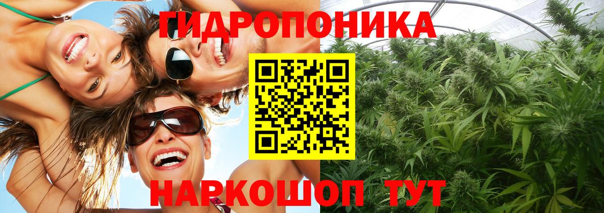 Канабис конопля  Вход с VPN  Фрязино  Каннабис тримм 